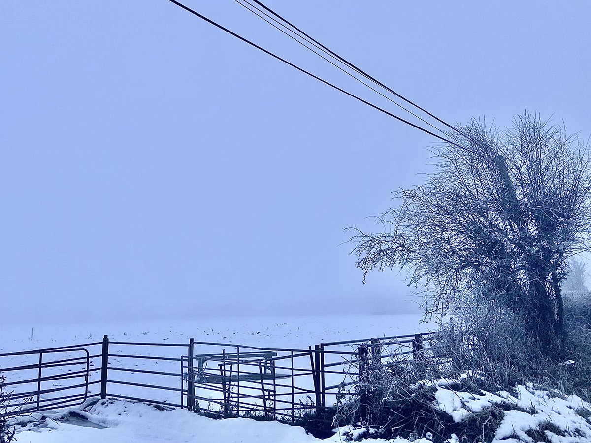 Sarah Buttle tweet media