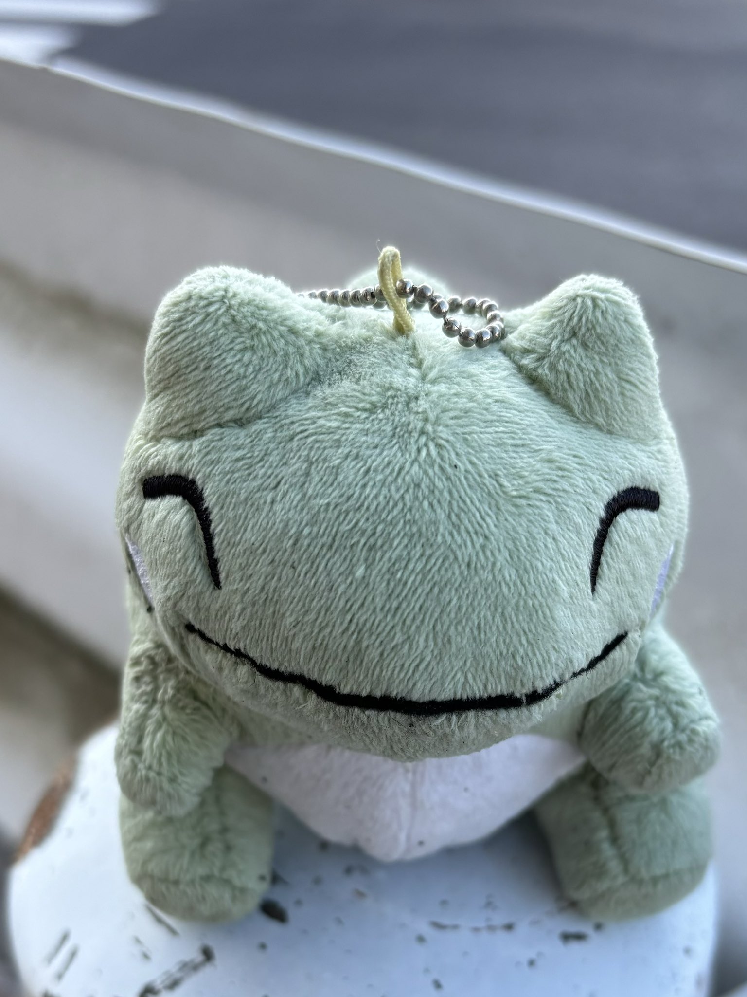 ポケモンセンター 超ビッグサイズ エルフーンのみがわりぬいぐるみ