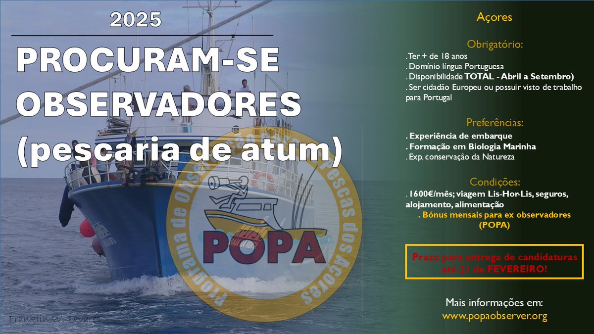 Programa Observação Pescas Açores (POPA) tweet media