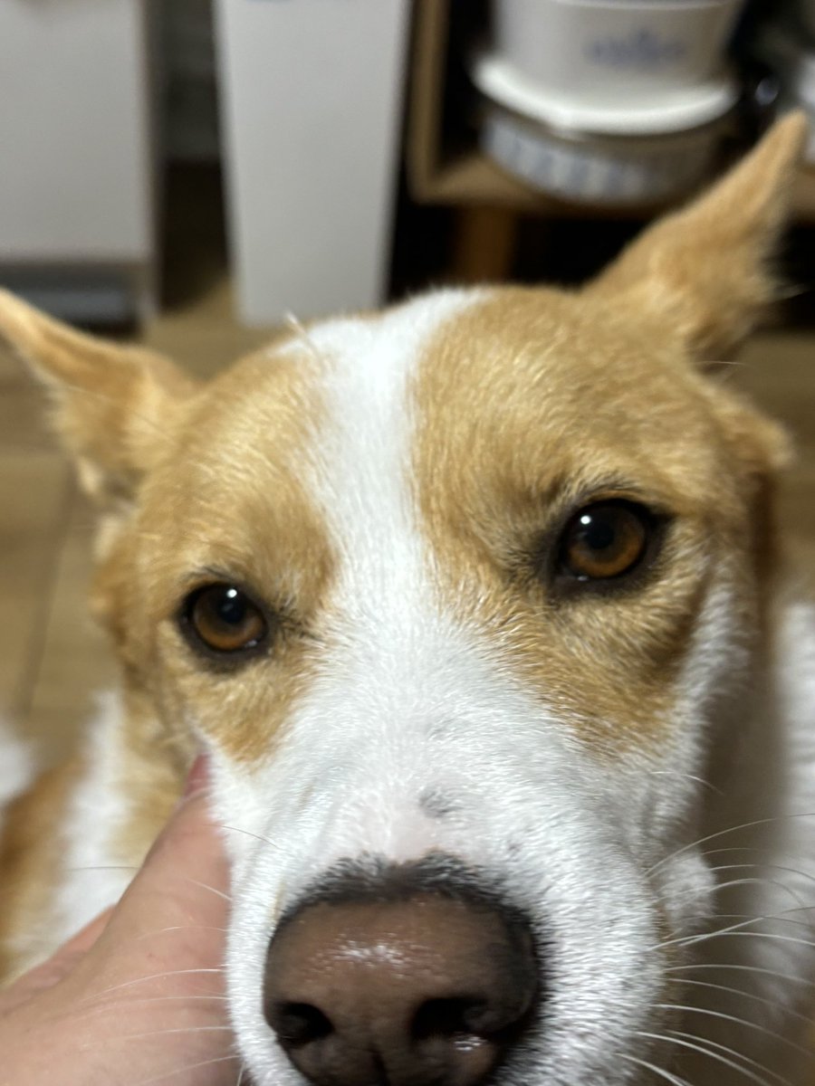 inullnuit (@inullnuit) on Twitter photo 