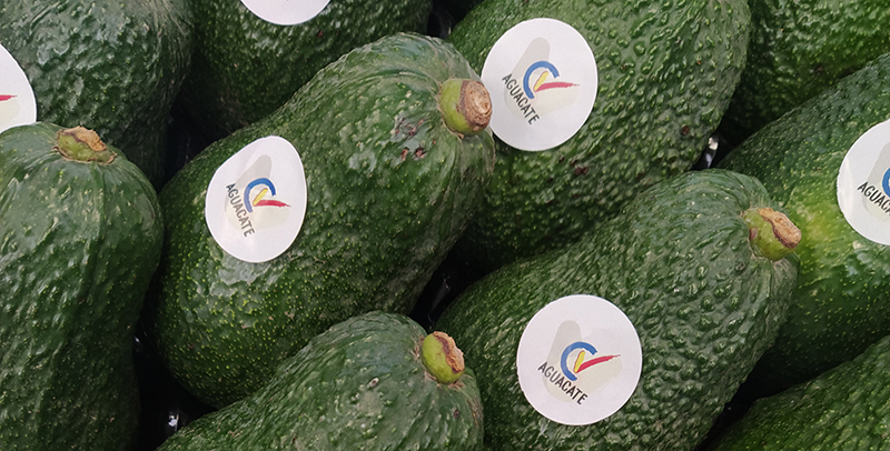 moltdegust_cv (@moltdegust_cv) on Twitter photo 🌱 Els alvocats amb marca CV arriben als Supermercats Masymas <a href="/masymas_Super/">masymas Supermercados</a> 🥑
El segell de qualitat 'Alvocats CV' garantix la frescor, seguretat alimentària i sostenibilitat de l'alvocat valencià enfront de les importacions 🍃
🔗 bit.ly/masymasaguacat… 🌱 Els alvocats amb marca CV arriben als Supermercats Masymas <a href="/masymas_Super/">masymas Supermercados</a> 🥑
El segell de qualitat 'Alvocats CV' garantix la frescor, seguretat alimentària i sostenibilitat de l'alvocat valencià enfront de les importacions 🍃
🔗 bit.ly/masymasaguacat…