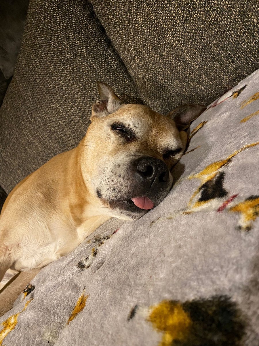 picklessleeps's tweet photo. @KookCapitalLLC Me too! https://t.co/qJRo0IgVBg