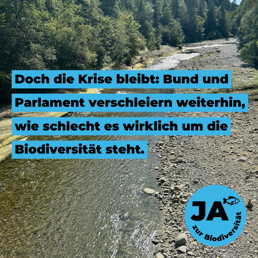 Biodiversitätsinitiative tweet media