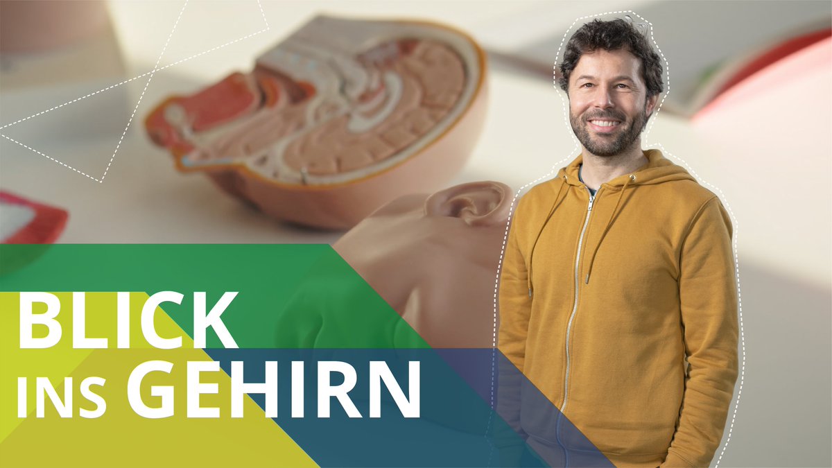 TU Dresden (@tudresden_de) on Twitter photo Wie steuert unser Gehirn zwischenmenschliche Interaktion? 🧠 Und was passiert, wenn das schiefgeht? Bei »Auf Arbeit mit…« zeigt Prof. <a href="/pkanske/">Philipp Kanske</a>, wie sich Empathie messen lässt & wie diese Daten neue Ansätze in der Psychotherapie ermöglichen. Zum Video ➡️ youtu.be/szLsUYeWbQw Wie steuert unser Gehirn zwischenmenschliche Interaktion? 🧠 Und was passiert, wenn das schiefgeht? Bei »Auf Arbeit mit…« zeigt Prof. <a href="/pkanske/">Philipp Kanske</a>, wie sich Empathie messen lässt & wie diese Daten neue Ansätze in der Psychotherapie ermöglichen. Zum Video ➡️ youtu.be/szLsUYeWbQw