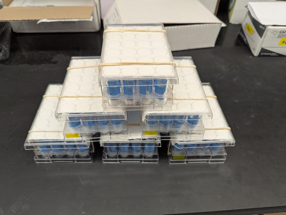 Have to love spending a couple of hours weighing out K3PO4 to start doing some medium throughout screening 🥲