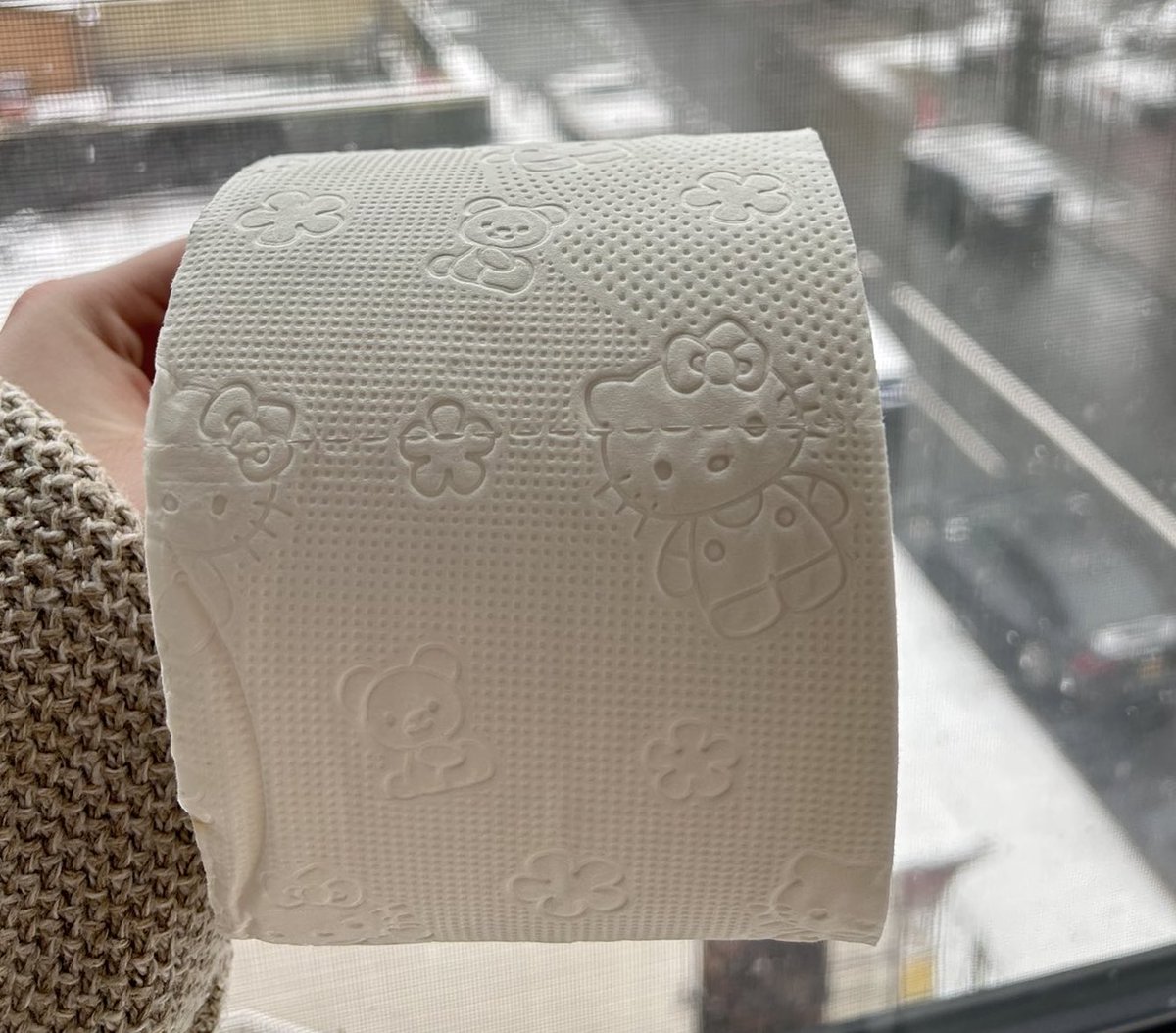 first person pov image of hand holding cute kello kitty imprinted toilet paper against a window showing a snowy day in new york|200