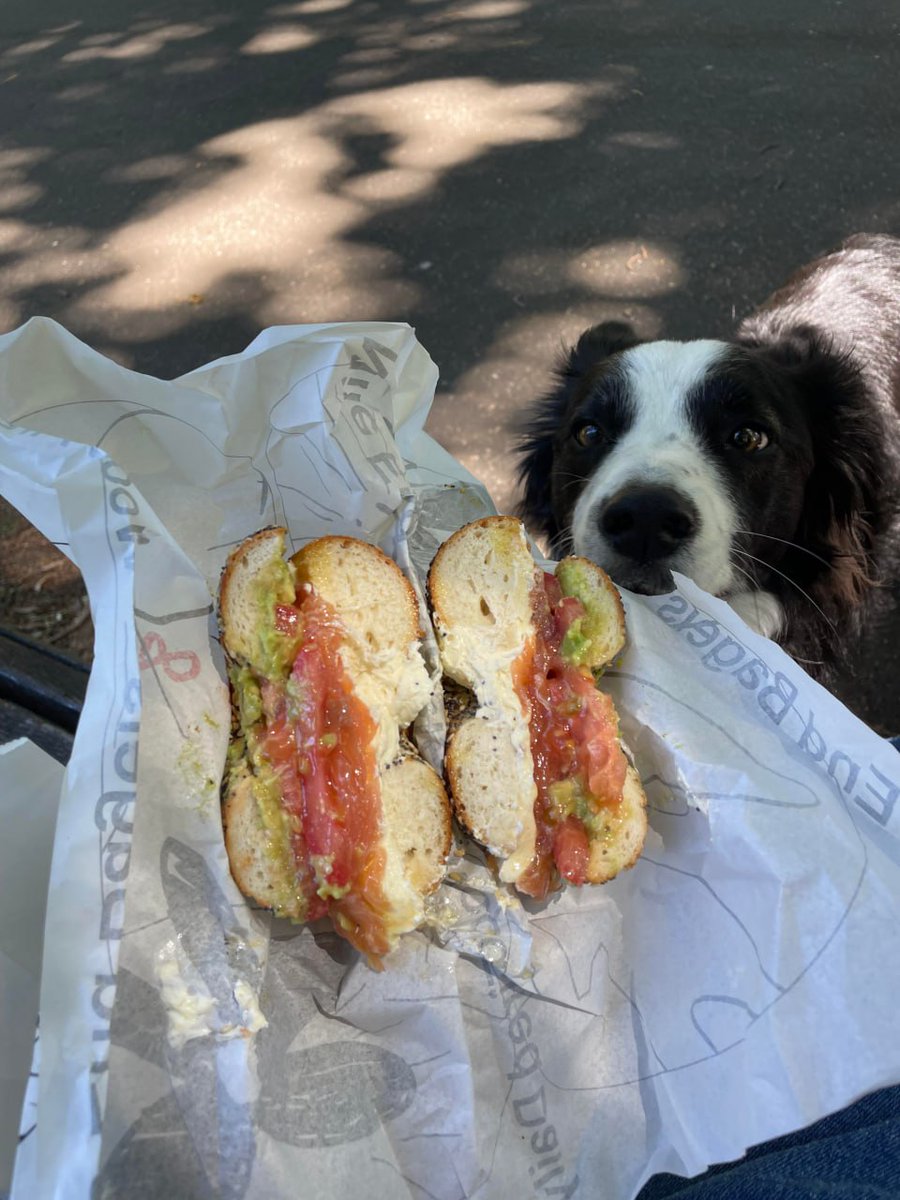 Feeding cute street dogs on my way to work. Attitude is everything. 🐕🐕🐕
