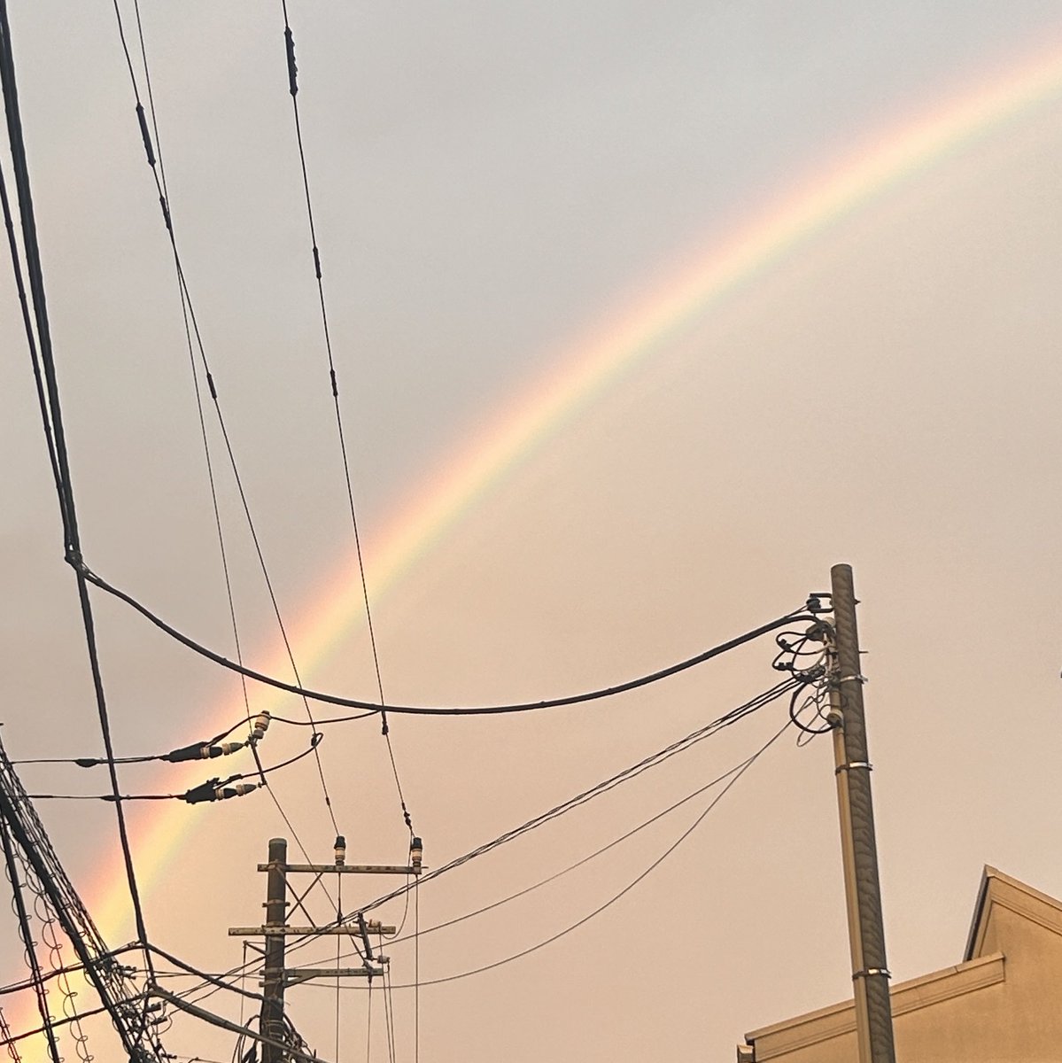 一生出会わなそうな属性の人とは、一回出会ったとて、その領域に足を踏み入れるか縁を繋ぎ止めない限り、また出会うことはないんよな。