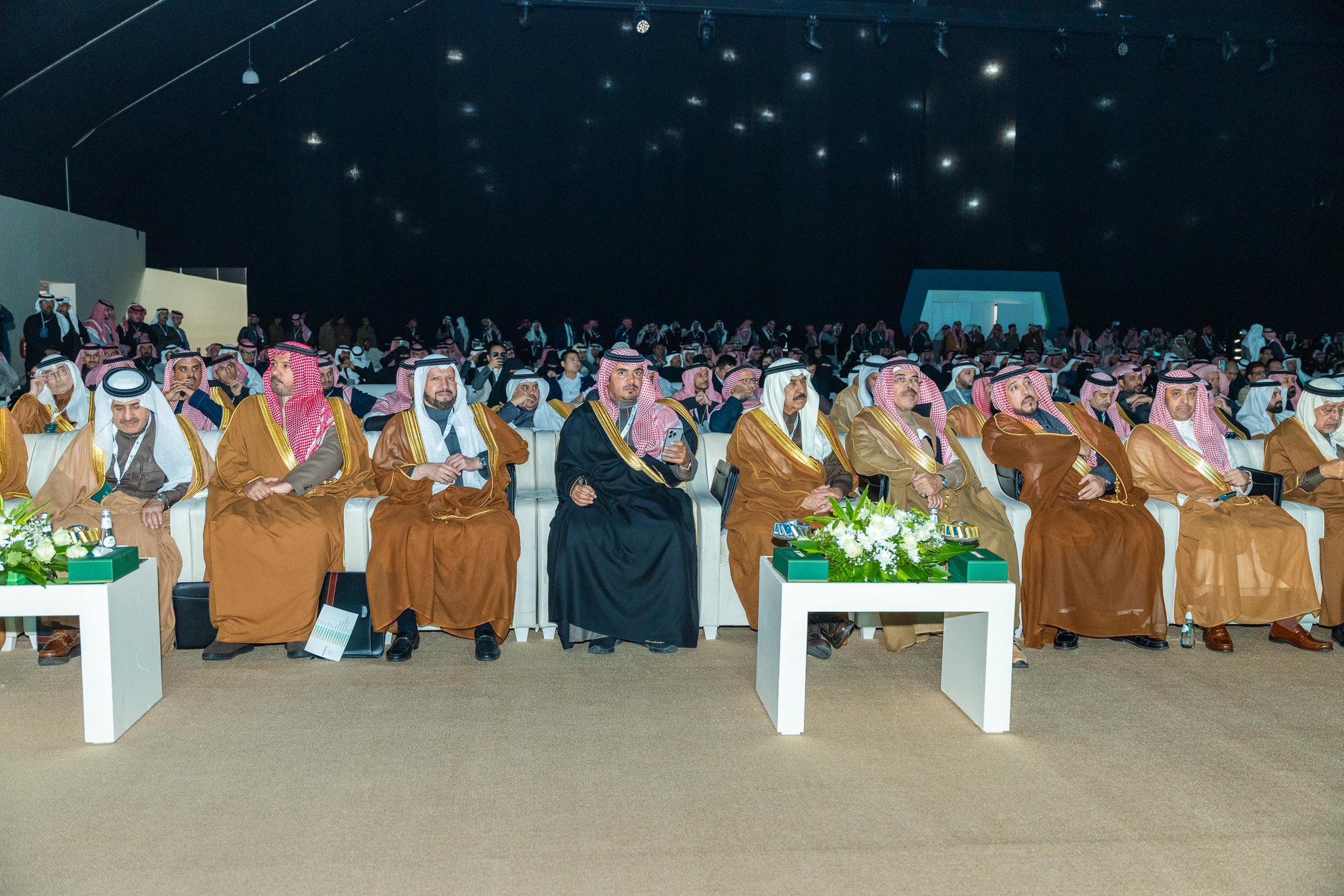 الصورة