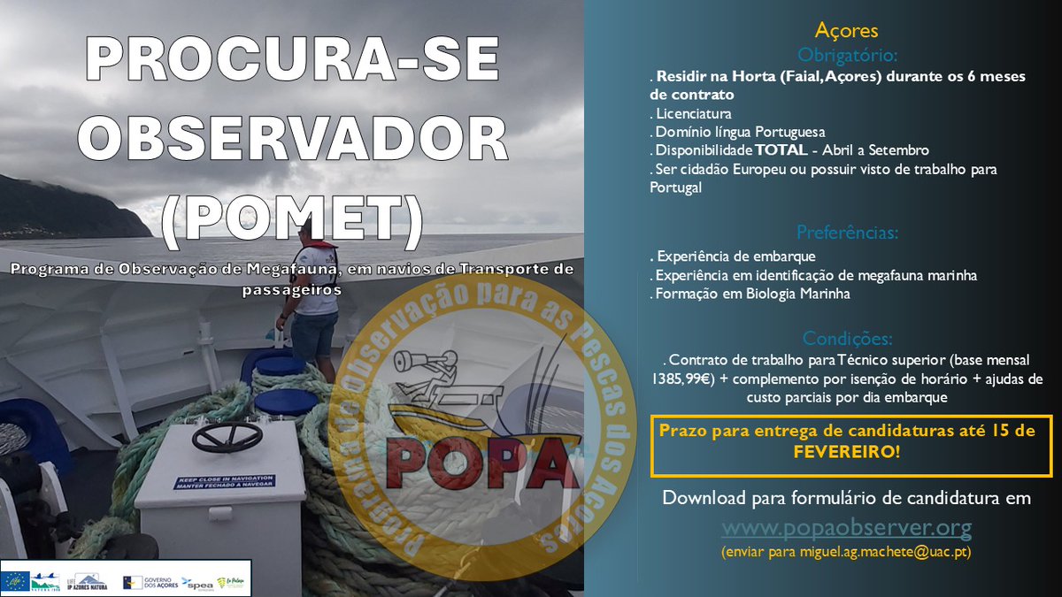 Programa Observação Pescas Açores (POPA) tweet media