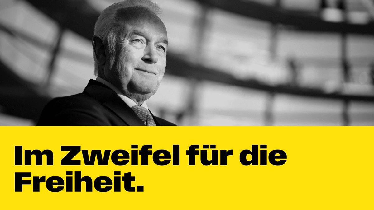 Wolfgang Kubicki tweet media