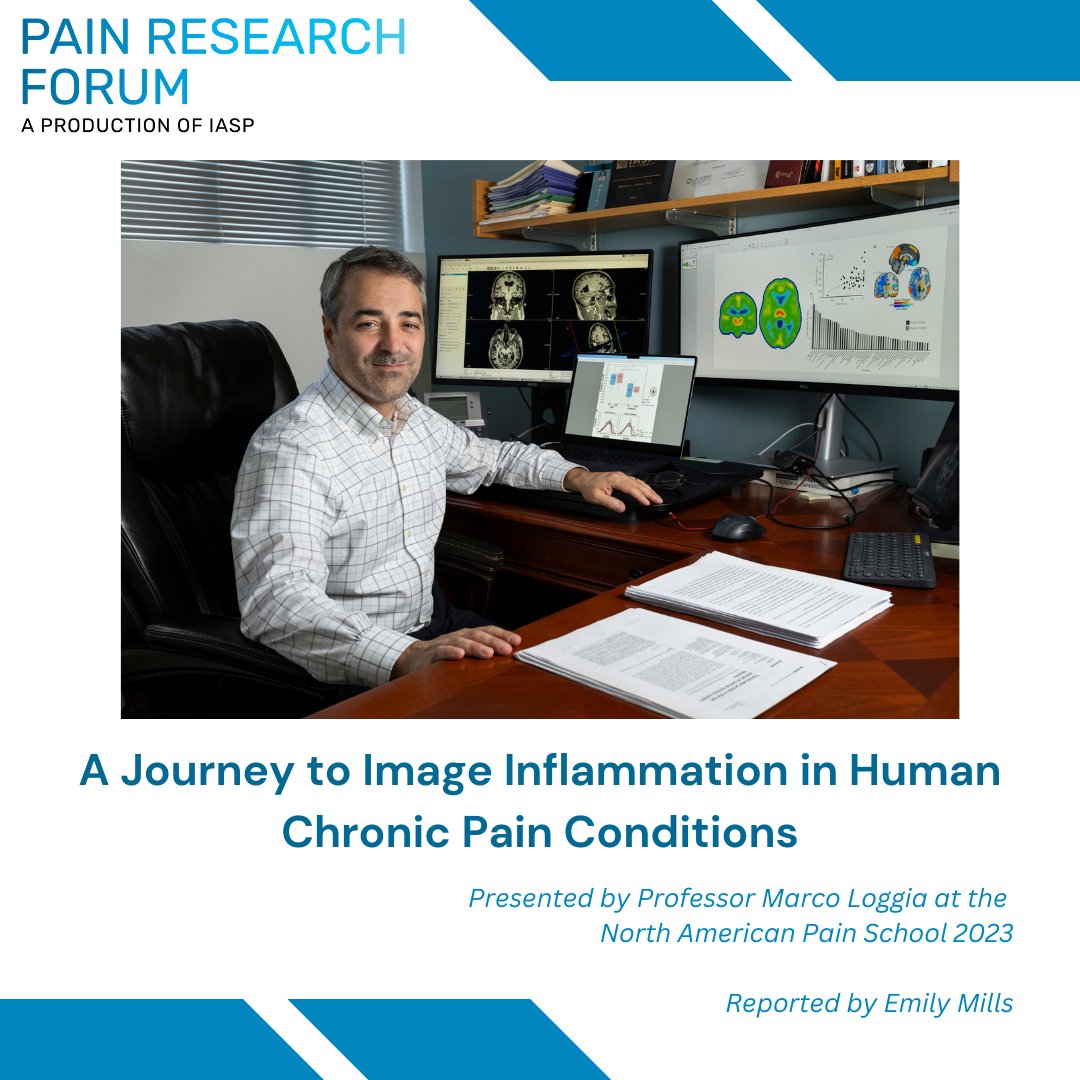 Pain Research Forum tweet media