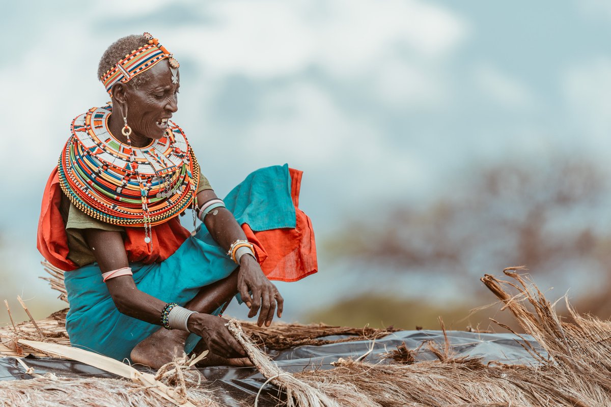 ItsMiller_G's tweet photo. In the Samburu Culture 
The responsibility of building and maintaining the manyattas rests with the women. This task demands skill and dedication, as the structures require constant attention.
#SamburuCulture 
#SamburuWomen https://t.co/mCxiTyRE9w