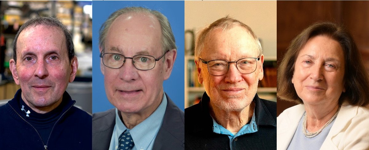 🏆🧪💊 The #FrontiersofKnowledge Award in the #Biology and #Biomedicine category goes to the four researchers who laid the biological foundations for revolutionary new treatments in #diabetes and #obesity

Learn all about their contribution here: bbva.info/3WbRuRk