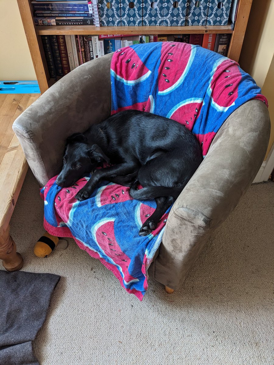 Caroline Howsley tweet media