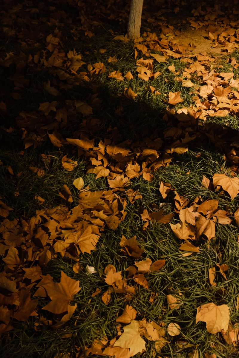 老板，来一份厨师沙拉