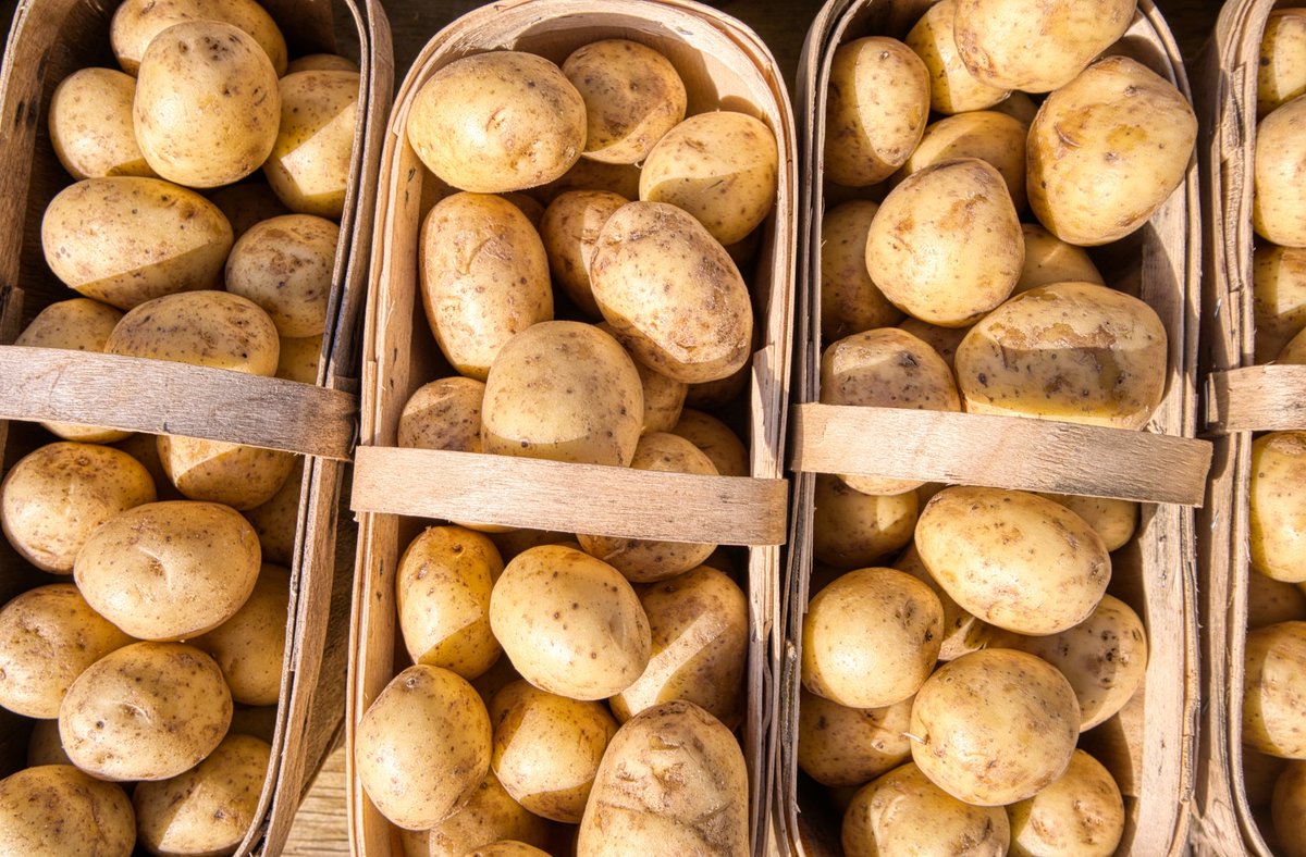 🥔Mit kurzen #Lieferwegen &amp; hoher #Nährstoffdichte steht die #Kartoffel für Regionalität &amp; nachhaltige Lebensmittelversorgung.
Um das volle Potenzial auszuschöpfen setzen wir uns dafür ein die Kartoffel noch stärker in den Fokus von Politik, LEH &amp; Verbrauchern zu rücken.