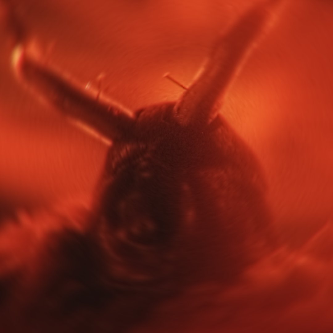 faustice689's tweet image. Krampus.2 #3D #Blender #Cyclesrender