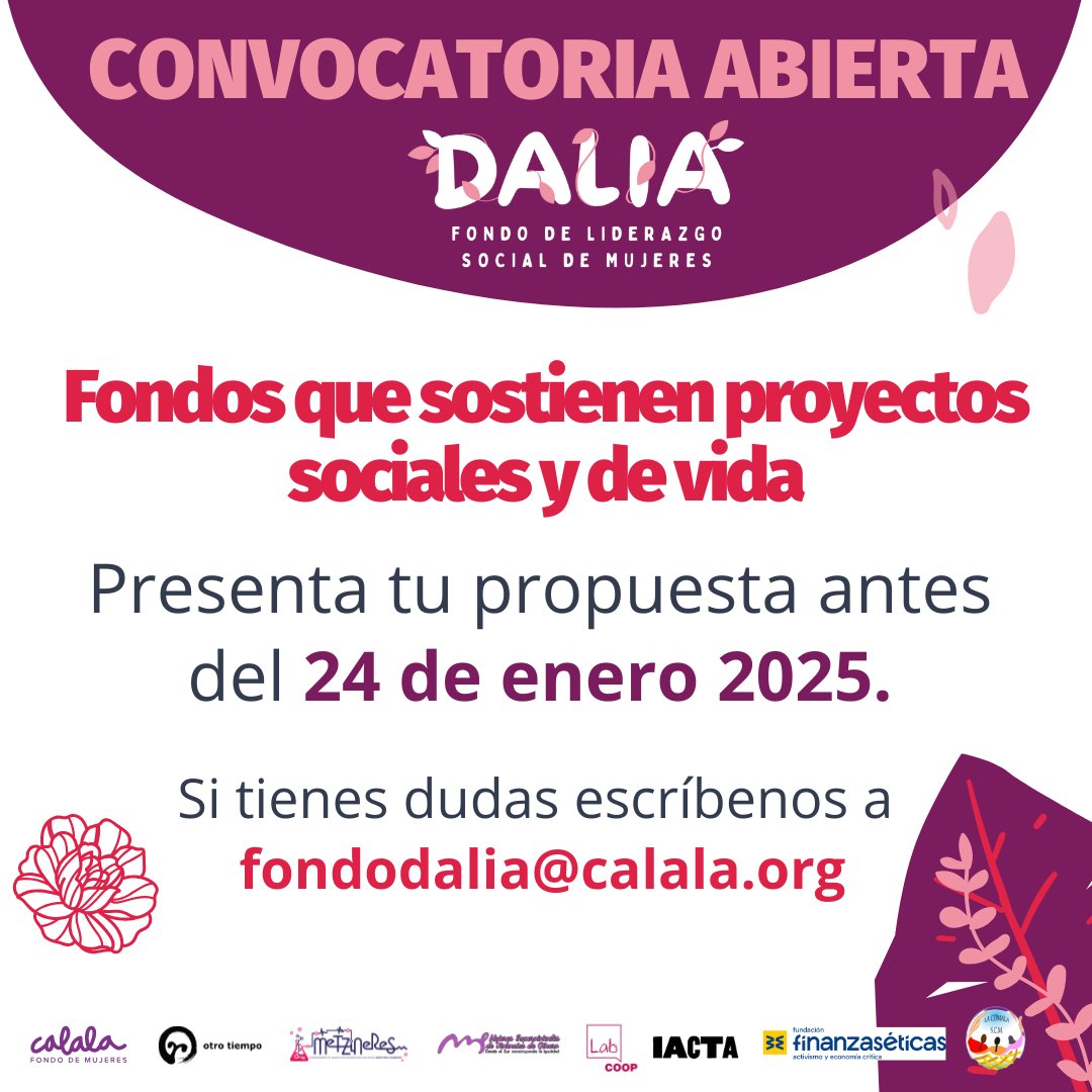 📣 Recuerda que continua abierta la cuarta convocatoria de Fondo Dalia

📌Tienes hasta las 23:59 horas CTS del 24 de enero 2025 para enviar tu propuesta. (Te recomendamos no esperar hasta última hora para enviar tu solicitud )

🔗Saber más: calala.org/fondos-que-sos…