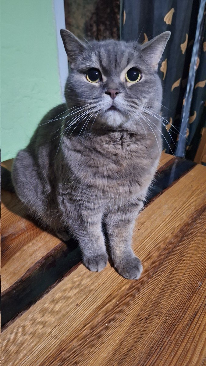 я уверен, что у вас в ленте давно не было сладкого пирожулика