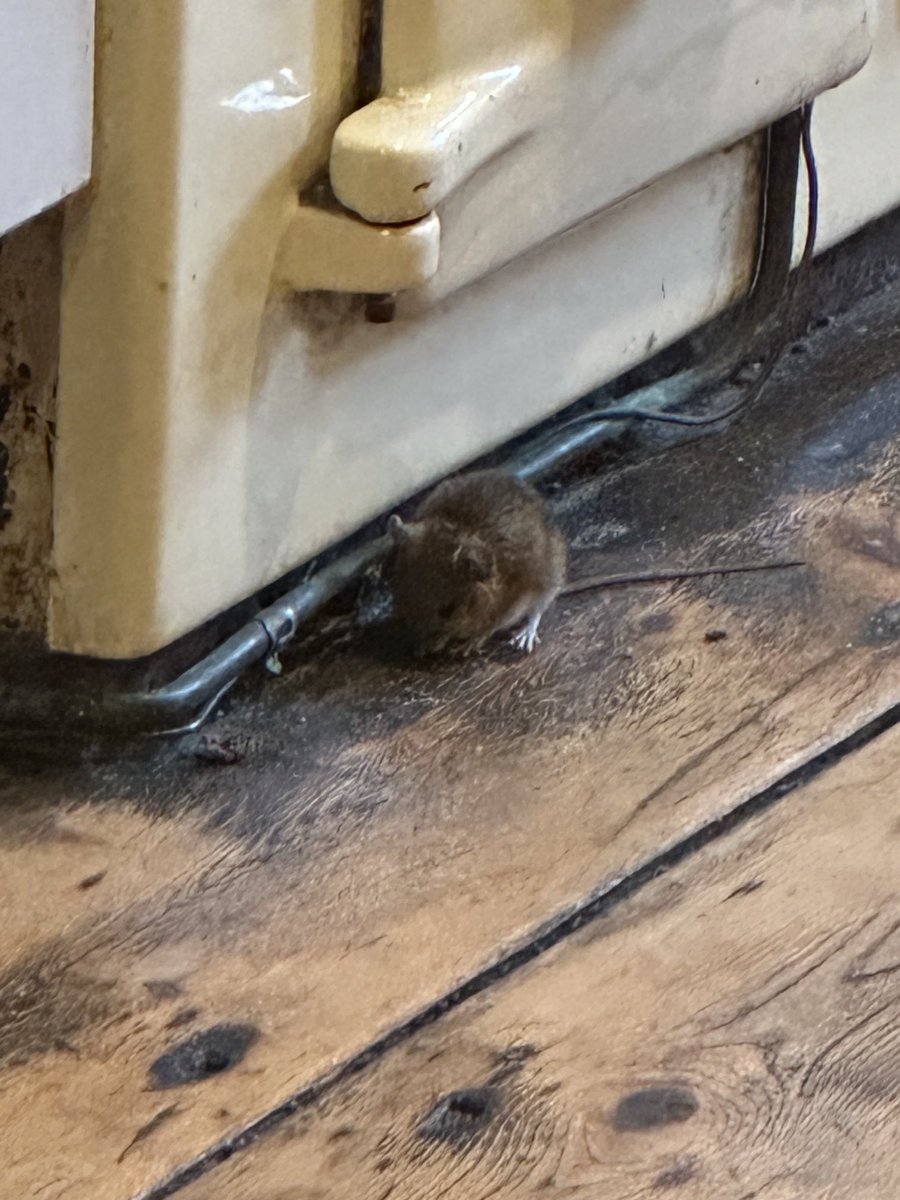 Pie Corbett tweet media