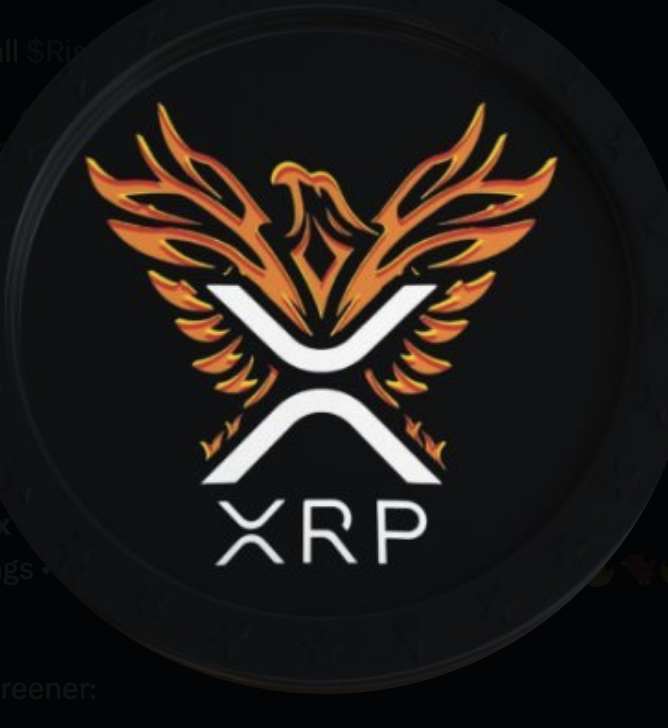 Launching today :

 $RISE 

@RiseOnXRPL 

FOMO going to set in. Don't miss out🔥 Don't say I didn't warn you!👀