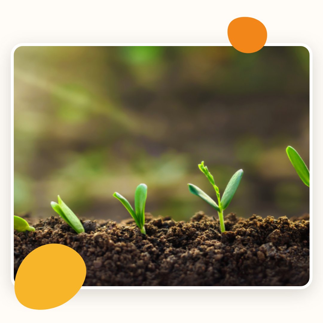 Witnessing a child blossom in a safe and nurturing home is the greatest reward of fostering. 💐 Start your journey today and be their light in the darkness. #makeadifference #FosterCarer