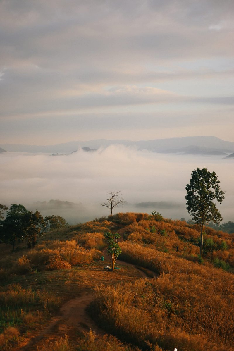 รักคนที่เขาเอนจอย
กับการมีเราอยู่ในชีวิตเขา.🖤

#แคปชั่นโสด #แคปชั่นโดนๆ #แคปชั่นเหงา #แคปชั่นเด็ด #แคปชั่นอ่อย  #แคปชั่นความทรงจํา #แคปชั่นความสุข #แคปชั่นความรู้สึก #แคปชั่นความรัก #ประโยคแซ่บแคปให้ด้วย #แคปชั่นโสด #ธรรมชาติบำบัด #ธรรมชาติ
