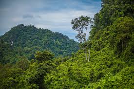 Exciting News! EarthDaily Analytics is thrilled to share our latest milestone: securing a significant $1.0 million contract with GreenField Consulting &amp; Development, a renowned Geosciences company headquartered in Vietnam. 🌳🌿🌎 gfd.com.vn/en/home/

#EOBuiltforAI