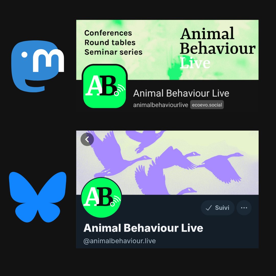 AnimalBehavLive's tweet image. As you may have noticed, we’re transitioning away from X. Our team collectively chose to share our events on platforms that align better with our ethical values🌱
Find us:
🐘 Mastodon: @animalbehaviourlive@ecoevo.social
🦋 Bluesky: @animalbehaviour.live
🌲 linktr.ee/animalbehaviou…