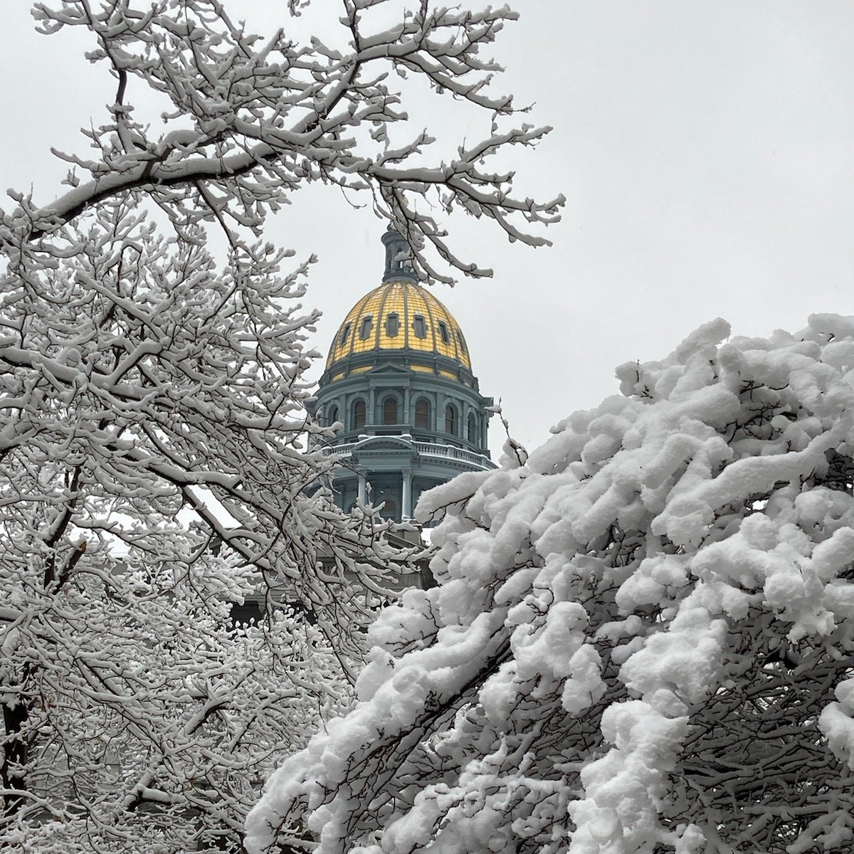 Greg Sobetski tweet media