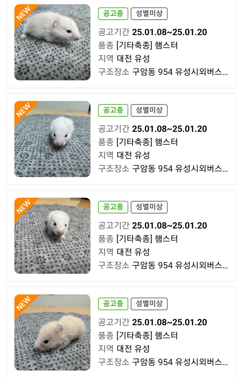 컷오프 프로젝트 tweet media