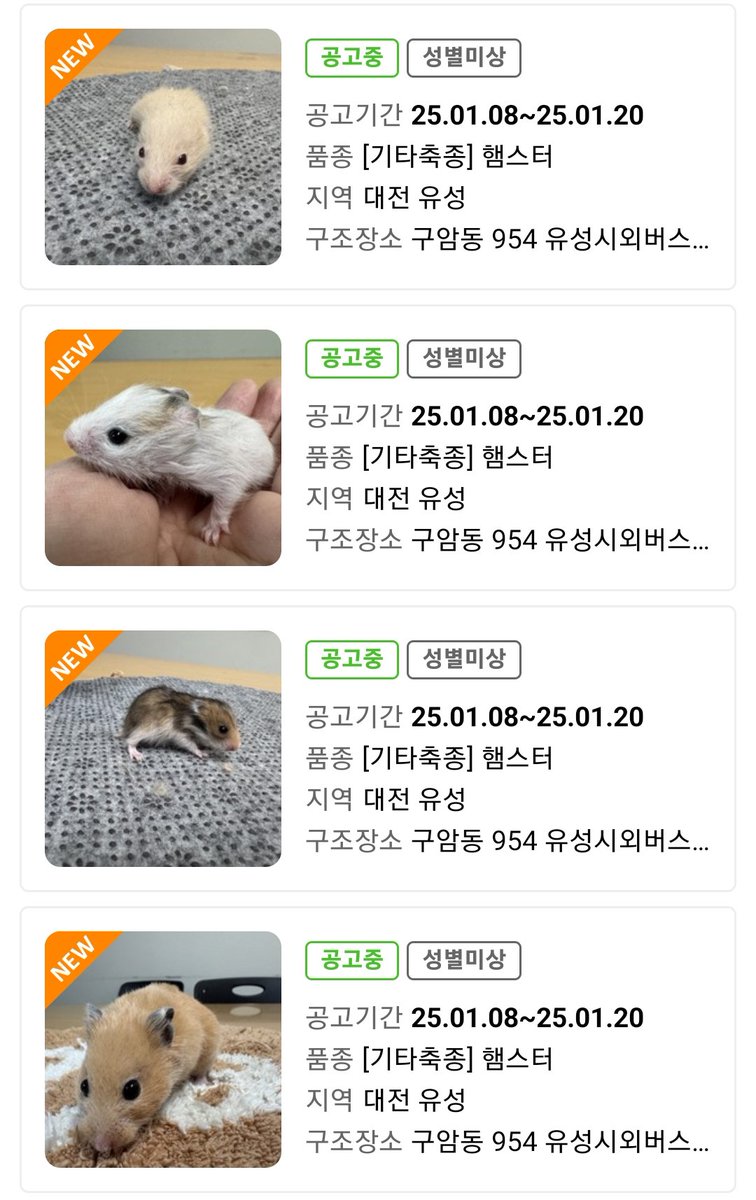 컷오프 프로젝트 tweet media