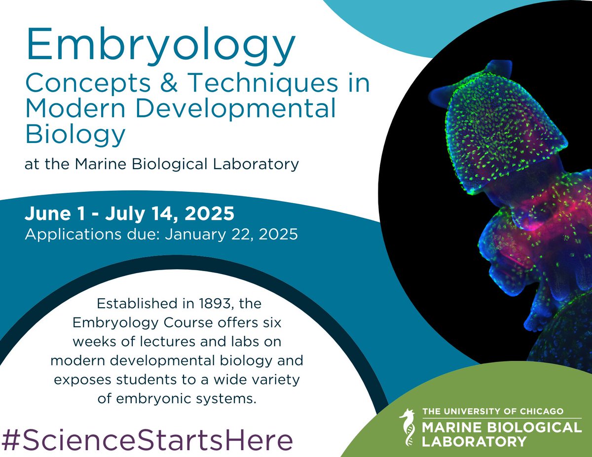 🔔Apply now!🔔

January 22 is the last day to apply to the MBL's 2025 Embryology course! This comprehensive overview of modern developmental biology is open to graduate students, postdoctoral fellows, and senior researchers.

Learn more: bit.ly/3DKPMjH
#ScienceStartsHere