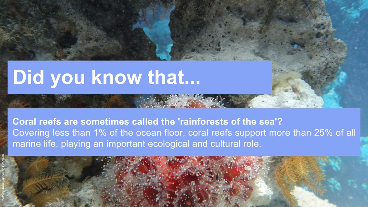 🌊 Coral reefs cover &lt;1% of the ocean but support &gt;25% of marine life!
They:
🐟 Provide food
🌴 Boost tourism
💊 Hold medical potential

Under threat from climate change &amp; pollution, but we can help - reduce runoff &amp; protect reefs!
Learn more: tinyurl.com/3mbjh3m9

#CoralReefs