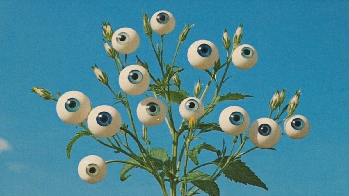 Worlds of Frames tweet media