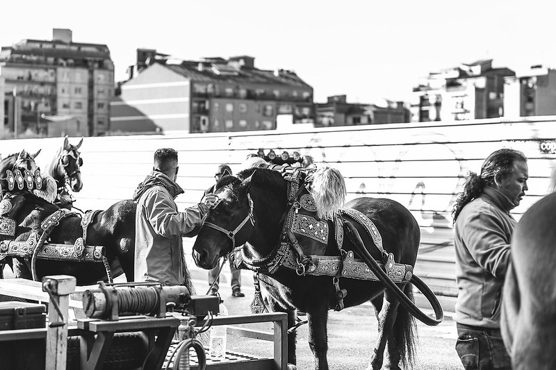 🐴 Aquest diumenge 12 es celebra la cavalcada dels Tres Tombs amb activitats des de les 10 del matí. El dia abans també se celebren els Tres Tombs Infernals a les 20:30 a la pl. de Can Fabra

☝️ s.mtrbio.com/eypjqkualj