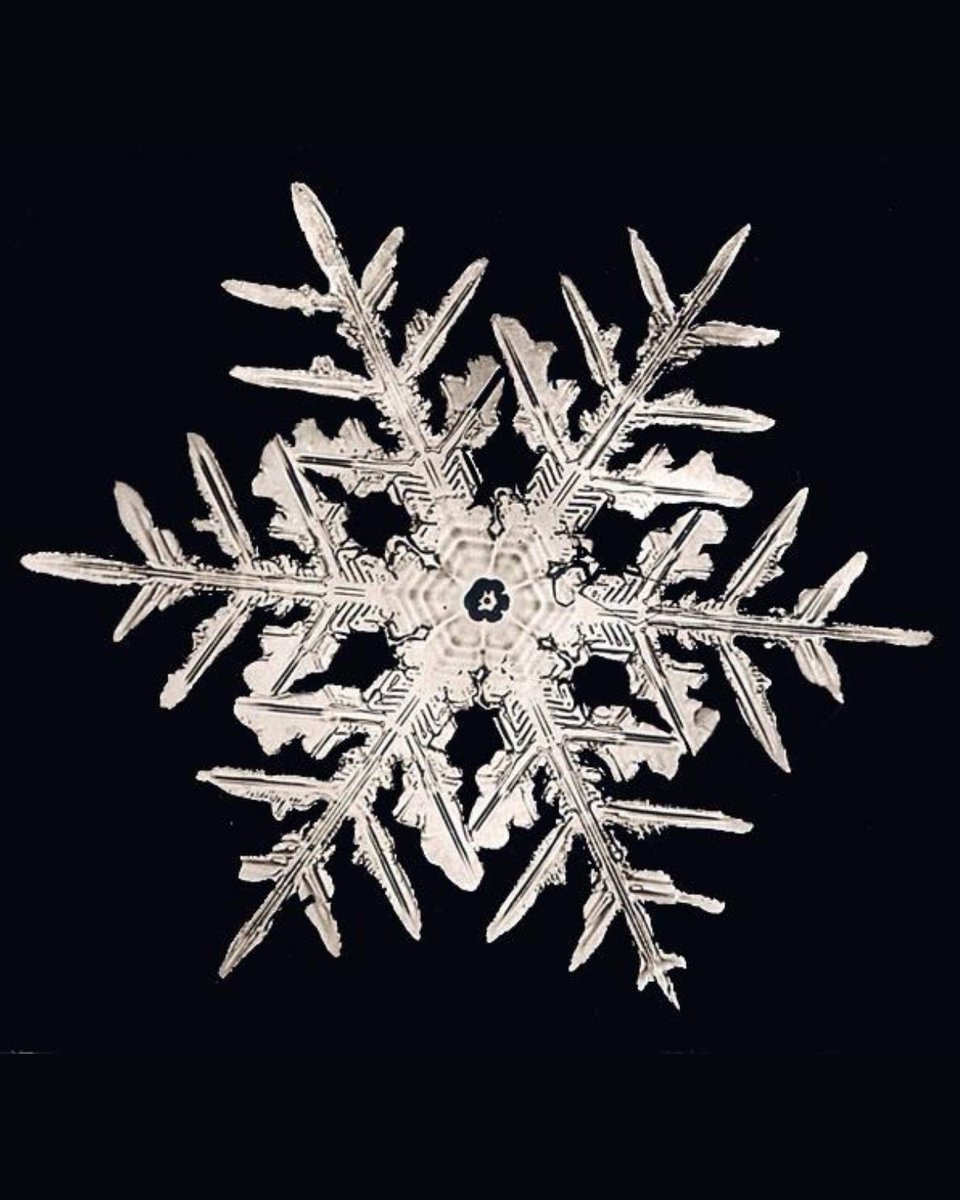 smithsonian's tweet image. All Smithsonian museums and the National Zoo are open today and we look forward to welcoming you. Plan your visit: si.edu/visit/museums
How do we know that no two snowflakes are identical? Photographer Wilson A. Bentley. A trailblazer in photomicrography, Bentley captured the…