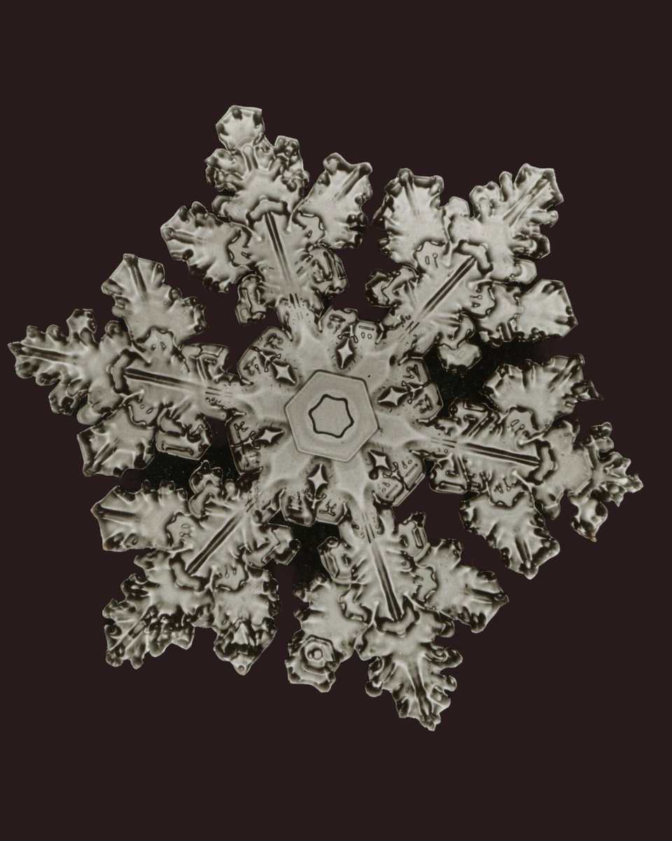 smithsonian's tweet image. All Smithsonian museums and the National Zoo are open today and we look forward to welcoming you. Plan your visit: si.edu/visit/museums
How do we know that no two snowflakes are identical? Photographer Wilson A. Bentley. A trailblazer in photomicrography, Bentley captured the…