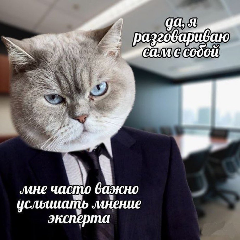 aliaksei tweet media
