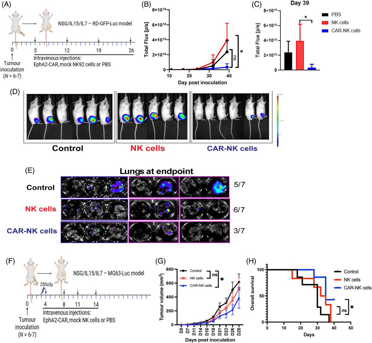 Waggoner Lab (@labwaggoner) on Twitter photo Enhancement of anti-sarcoma immunity by NK cells engineered with mRNA for expression of a EphA2-targeted CAR
onlinelibrary.wiley.com/doi/10.1002/ct…
@drlamp
<a href="/Fer_NK_nando/">Fernando Guimaraes</a> Enhancement of anti-sarcoma immunity by NK cells engineered with mRNA for expression of a EphA2-targeted CAR
onlinelibrary.wiley.com/doi/10.1002/ct…
@drlamp
<a href="/Fer_NK_nando/">Fernando Guimaraes</a>