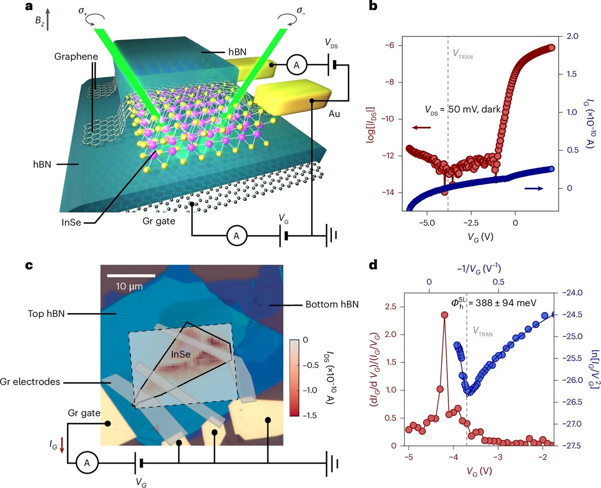 Andras Kis (@andras_ks) on Twitter photo We have published a new paper in <a href="/NatureMaterials/">Nature Materials</a> by <a href="/GabrielePasq/">Gabriele Pasquale</a> et al. nature.com/articles/s4156…
<a href="/EPFL_en/">EPFL</a> <a href="/EPFLEngineering/">EPFL School of Engineering</a> <a href="/QSECenter_EPFL/">EPFL Center for Quantum Science & Engineering</a> We have published a new paper in <a href="/NatureMaterials/">Nature Materials</a> by <a href="/GabrielePasq/">Gabriele Pasquale</a> et al. nature.com/articles/s4156…
<a href="/EPFL_en/">EPFL</a> <a href="/EPFLEngineering/">EPFL School of Engineering</a> <a href="/QSECenter_EPFL/">EPFL Center for Quantum Science & Engineering</a>