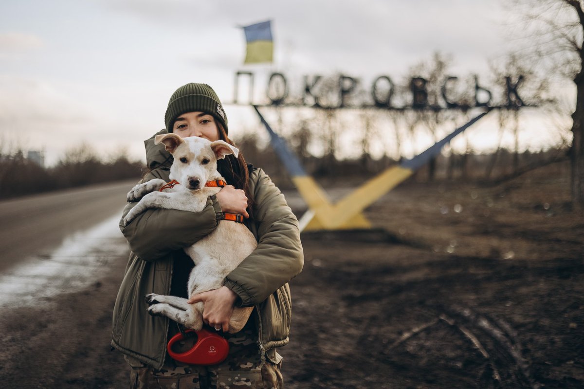 Покровськ і пес Покровськ 
Відновлена стела