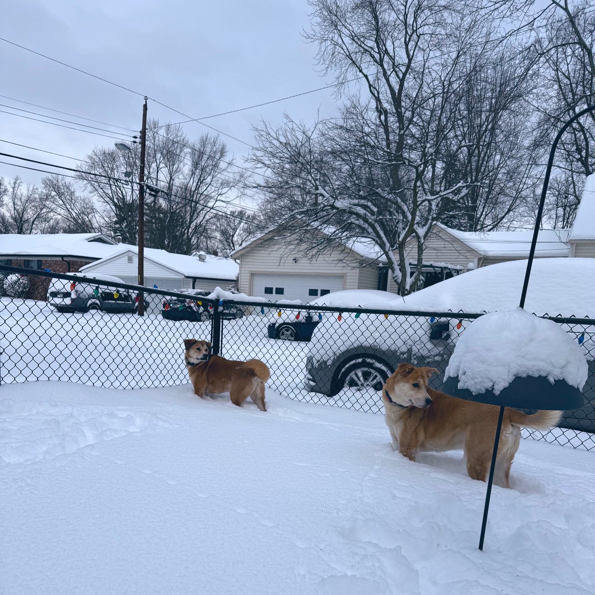 LastNameLine's tweet image. they ain’t got no legs