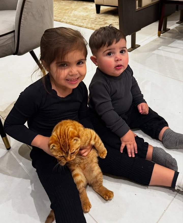 onlyenz0's tweet photo. tiene un gatito y anaranjado 🥺 https://t.co/SoTHcYOs4z