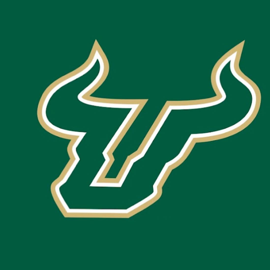 Cantgaurdb3's tweet image. blessed to receive an offer from the university of south florida 💚 @h2valle @Coach_DVD