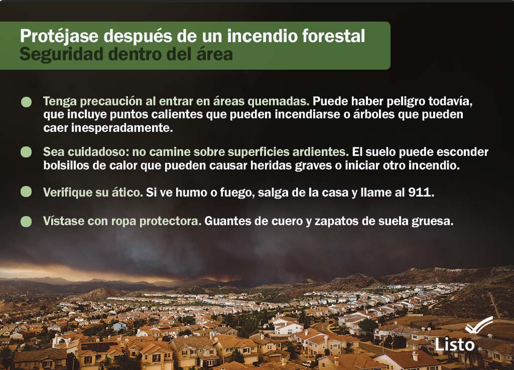 Respirar el humo de los incendios forestales puede tener efectos en la salud y causar enfermedades o empeorar las condiciones de salud existentes. 

Si le dicen que evacue, evacúe. Si le dicen que se quede en el interior, quédese en el interior.
