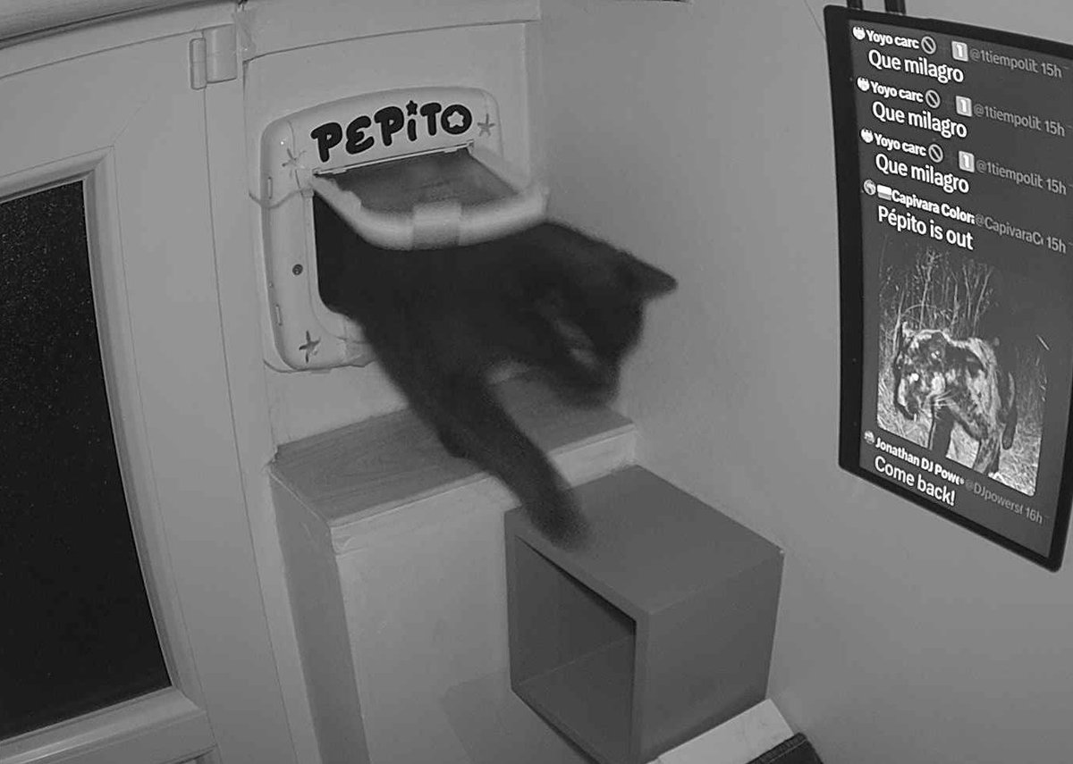 Pépito is back home (20:32:14)
