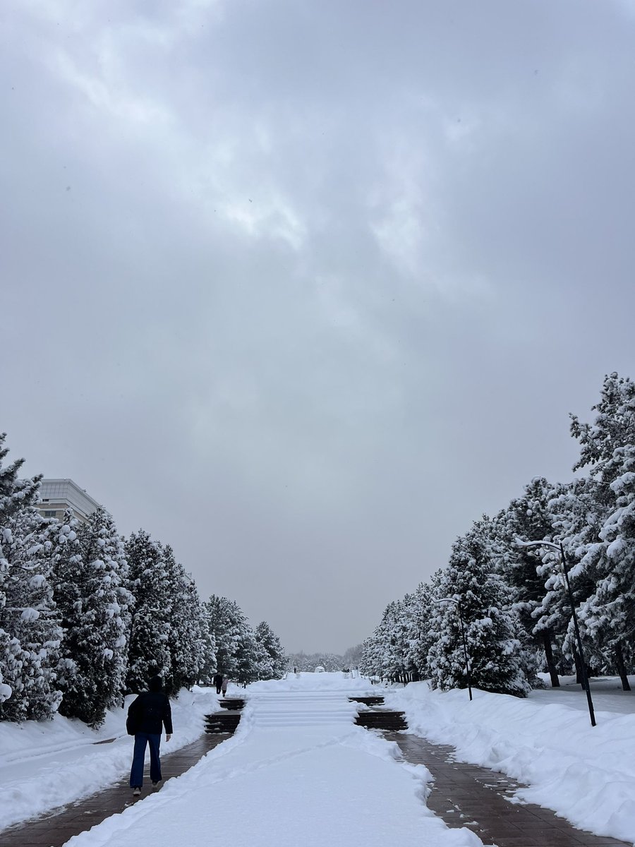 It’s 2025, and I’m still not a Twitter person:)

I hope you all had a wonderful holiday season. 🎄

Here’s our university campus today—it’s beautifully snowy!

#Almaty
