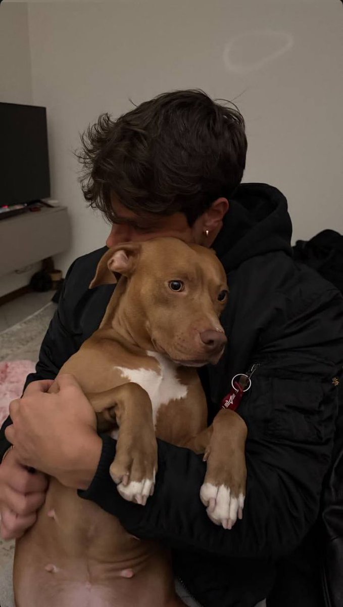 L’amore di un animale è qualcosa di unico ❤️

#ddm